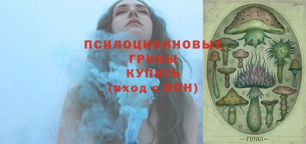 меф Алексин