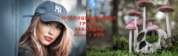 метамфетамин Алексеевка